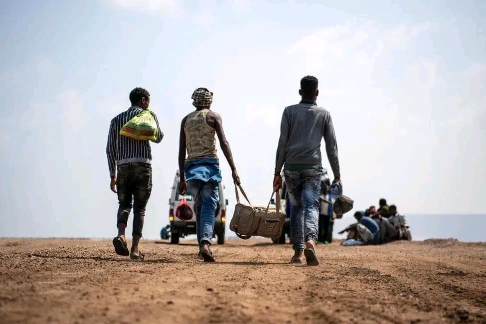 مركز حقوقي: أكثر من 37 ألف مهاجر دخلوا اليمن خلال أربعة أشهر