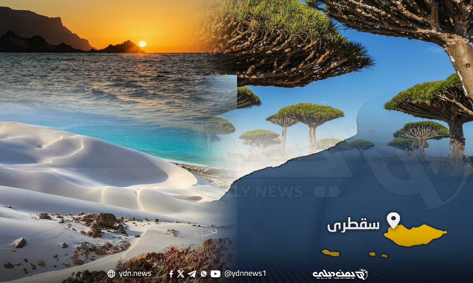 فريق أممي في سقطرى بسبب انتهاك معاهدة 1972.. ماذا تعرف عنها؟