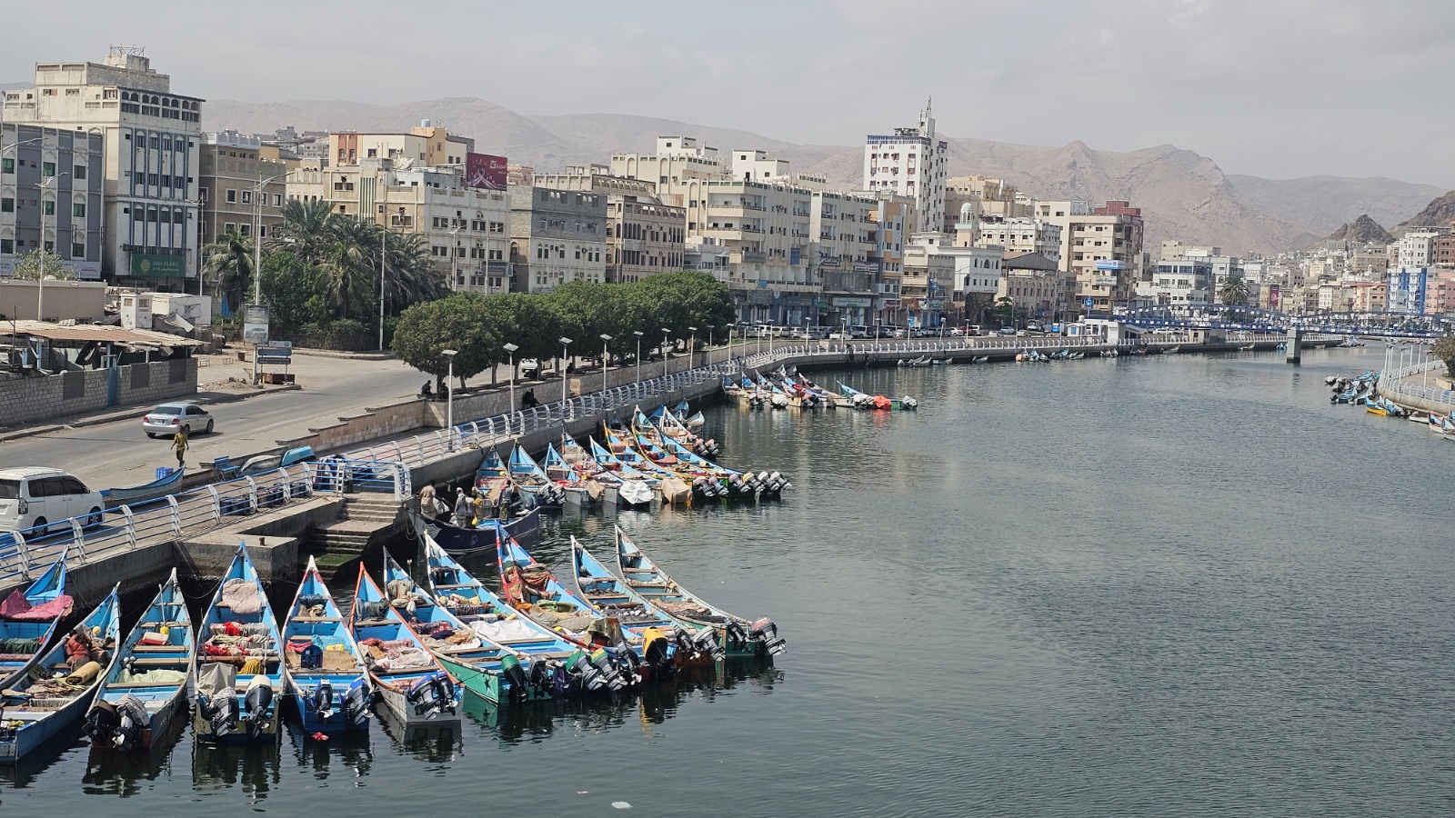 استقصائي يكشف استنزافاً مهولاً للمخزون السمكي شرقي اليمن تقوده مطاحن إماراتية