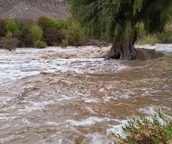 حضرموت تحت تأثير منخفض جوي.. سيول تغمر شوارع مدينة الشحر (فيديو+صور)