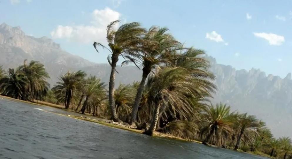 توقعات بارتفاع سرعة الرياح بإرخبيل سقطرى إلى 50 عقدة وتحذيرات لمرتادي البحر توقعات بارتفاع سرعة الرياح بإرخبيل سقطرى إلى 50 عقدة وتحذيرات لمرتادي البحر