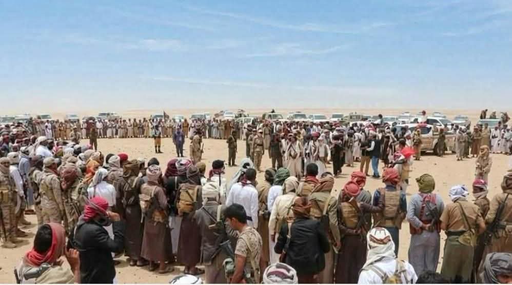مصادر قبلية: تمديد مهلة مطارح الريان استجابة لطلب قبائل وائلة